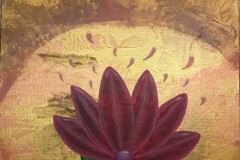 P.B Lotus    30/30cm